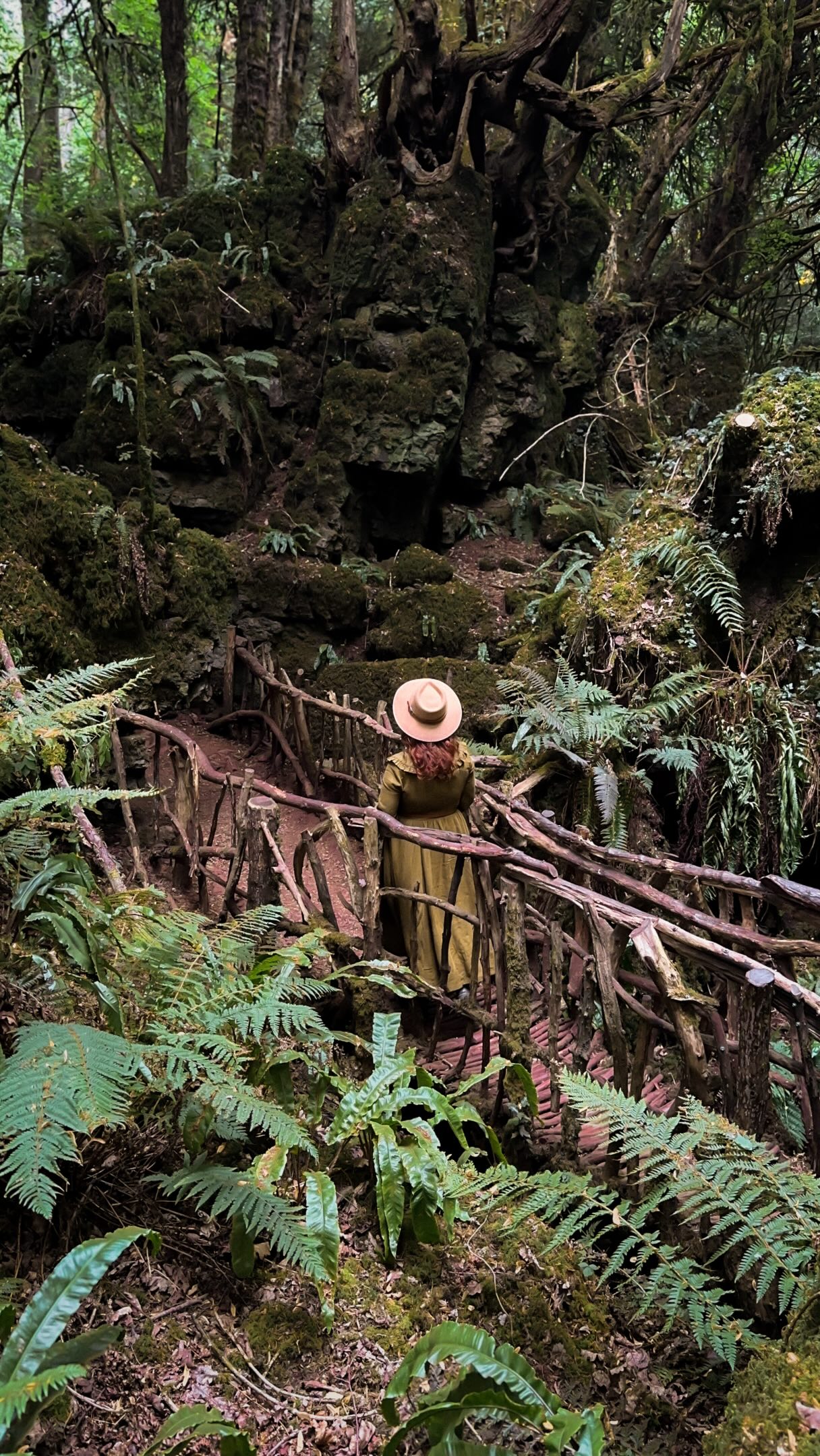 Magical Forest Inspired by Fantasy Films