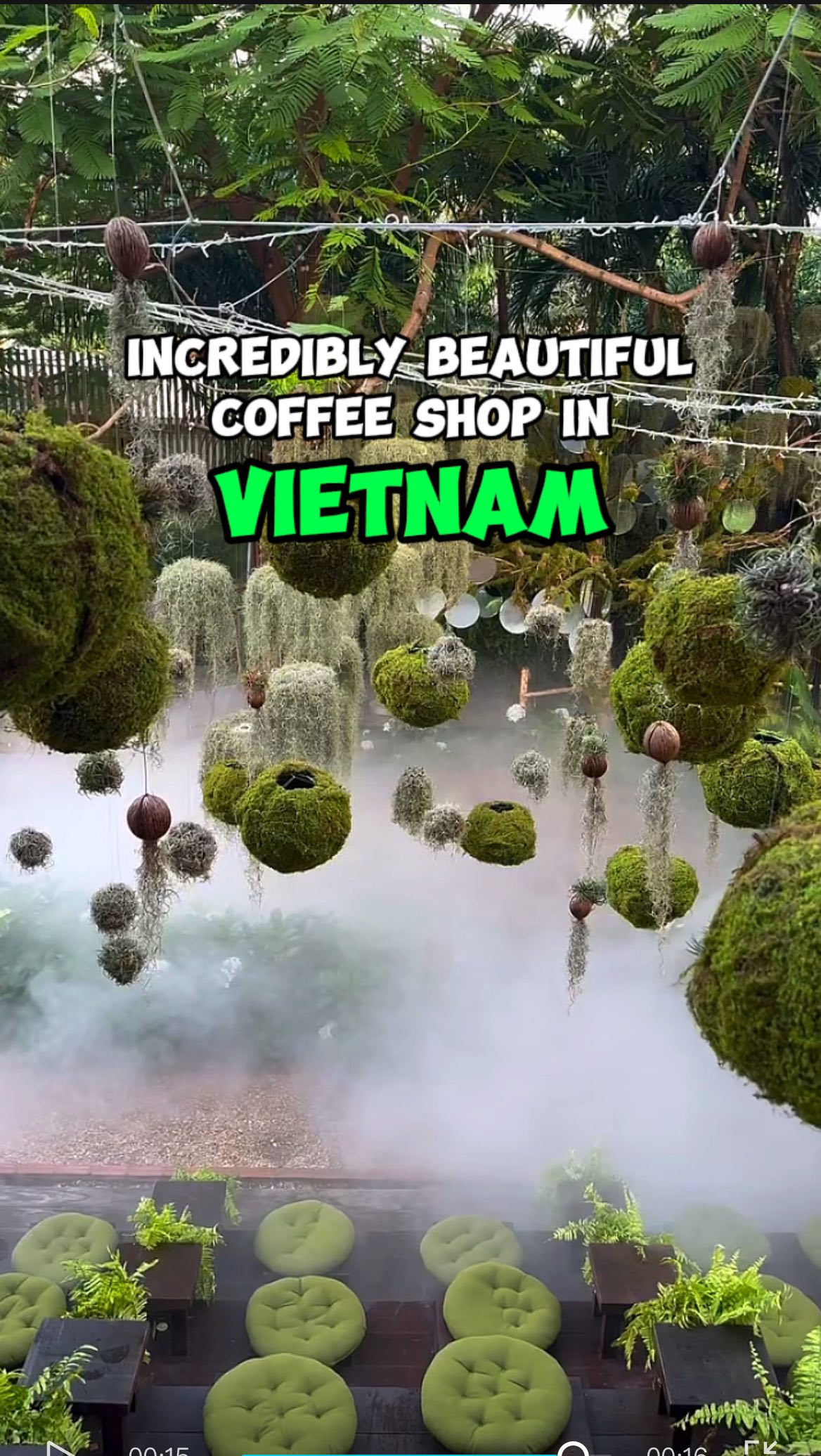 Jungle-Themed Coffee Shop Creates Immersive Experience