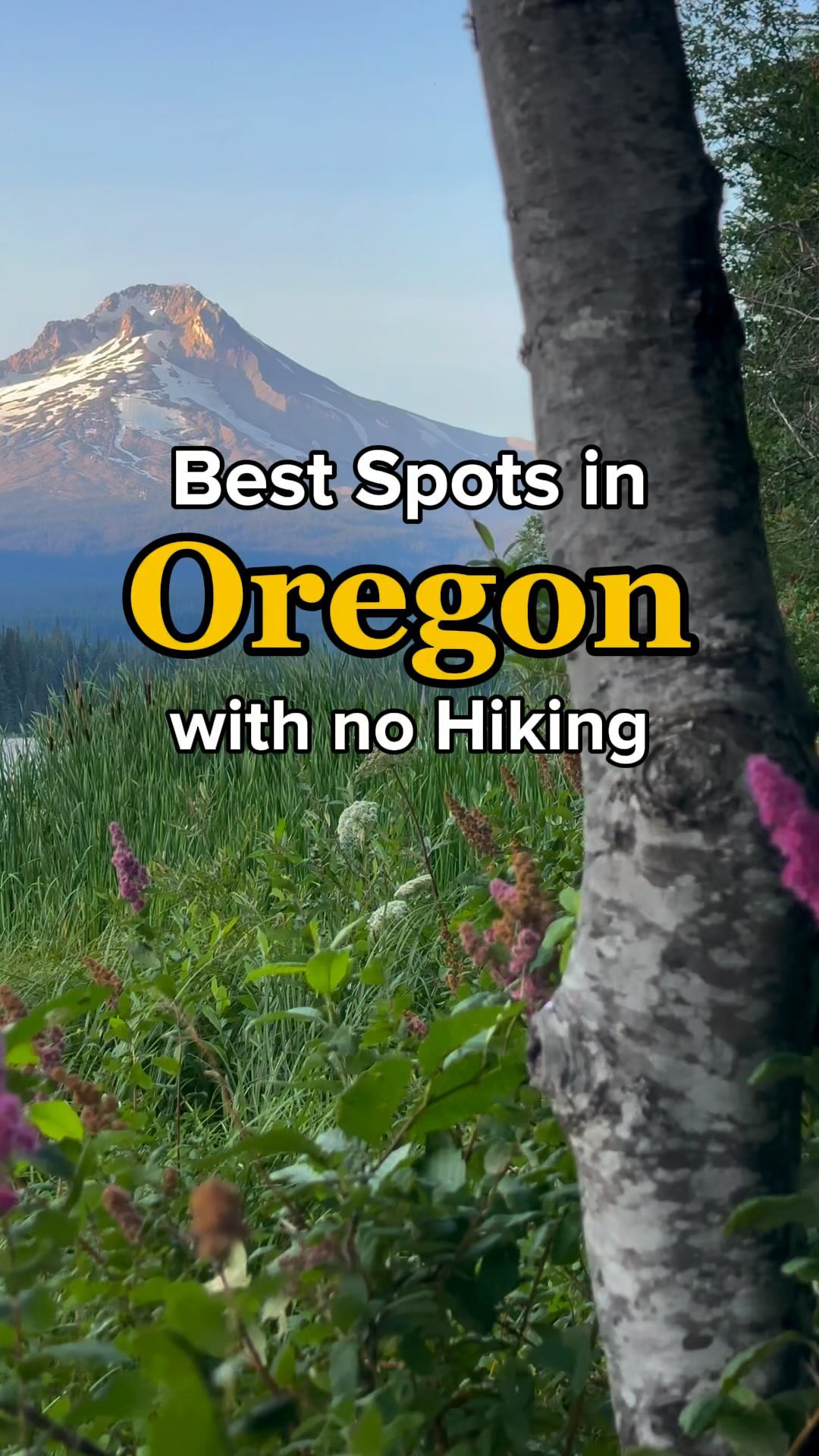 7 Attractions in Oregon
