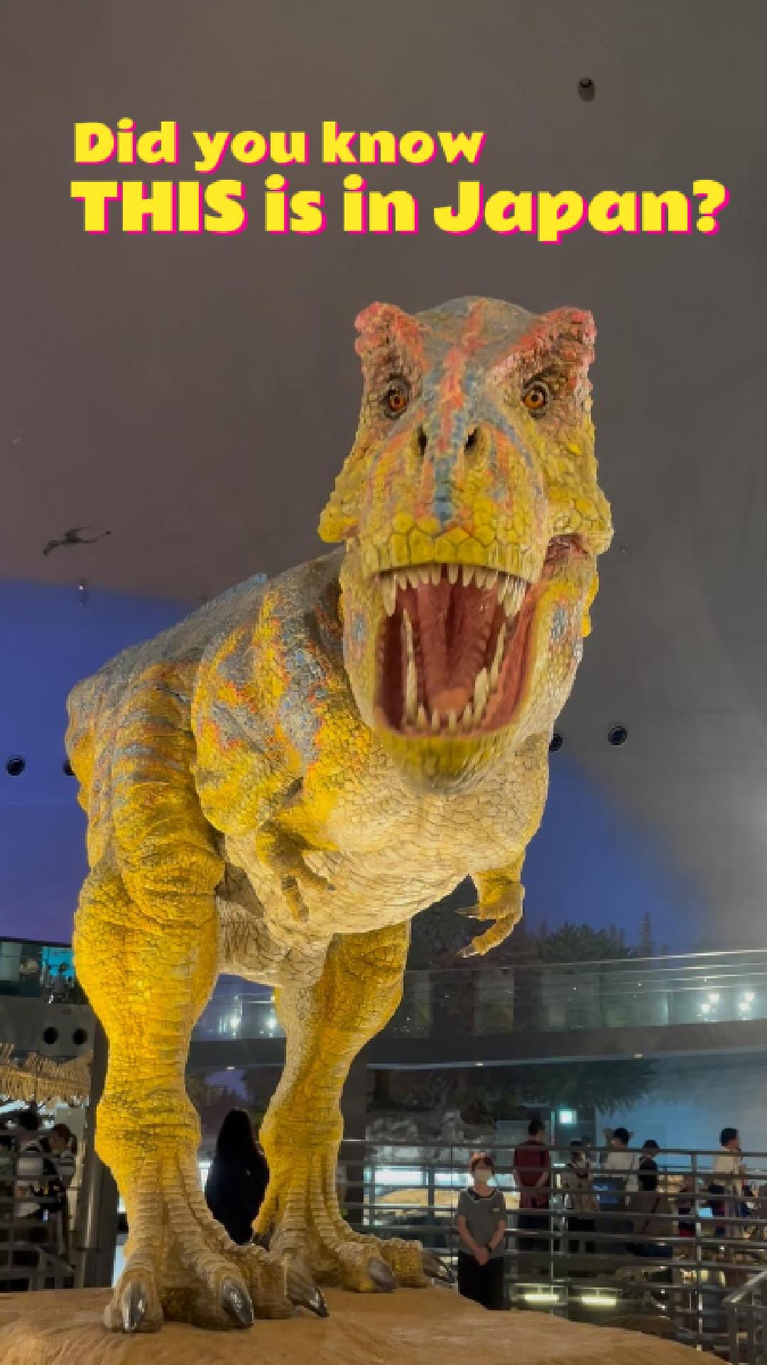 Fukui Dinosaur Museum: A World-Class Experience