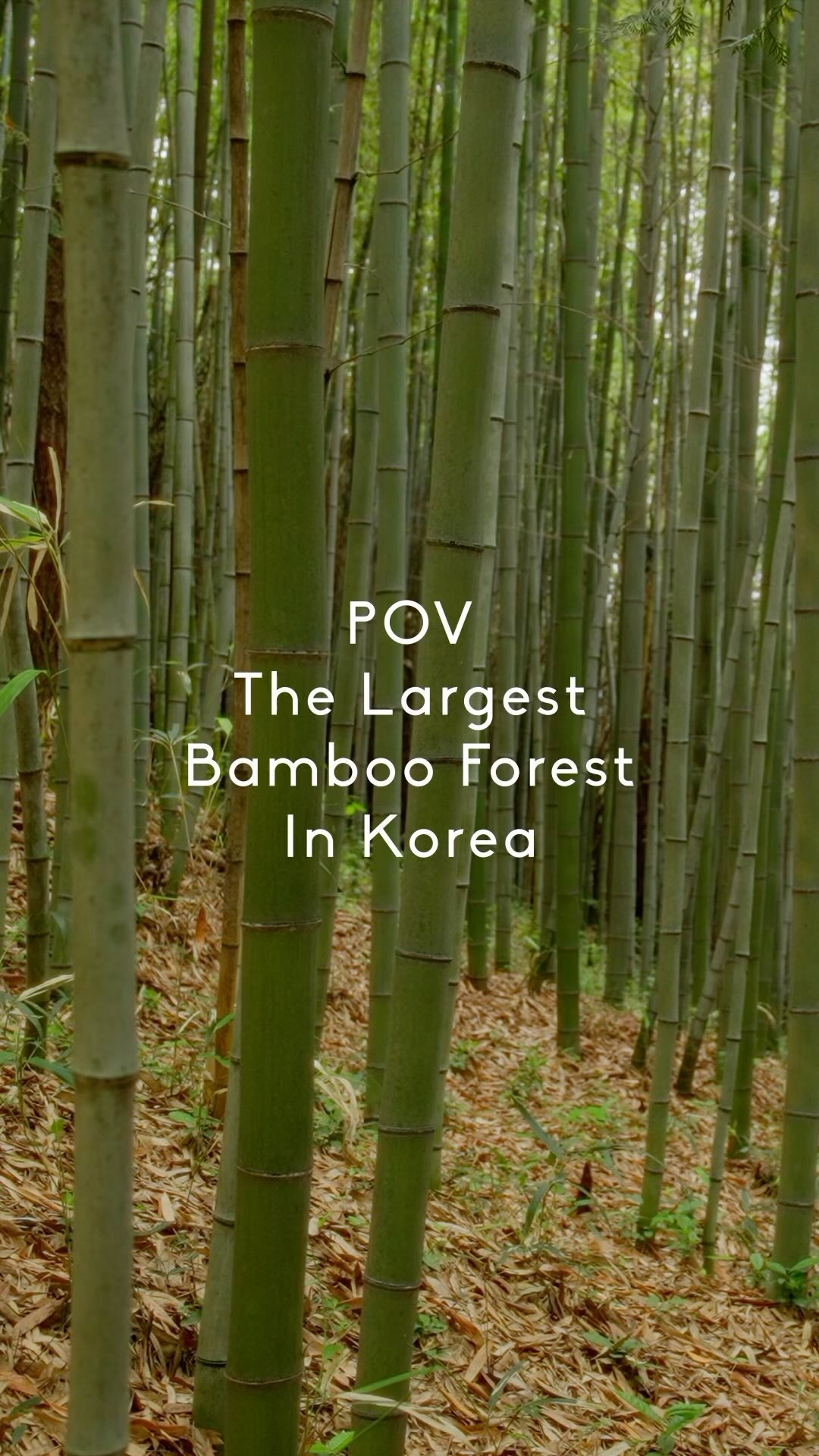1 Parks in Damyang