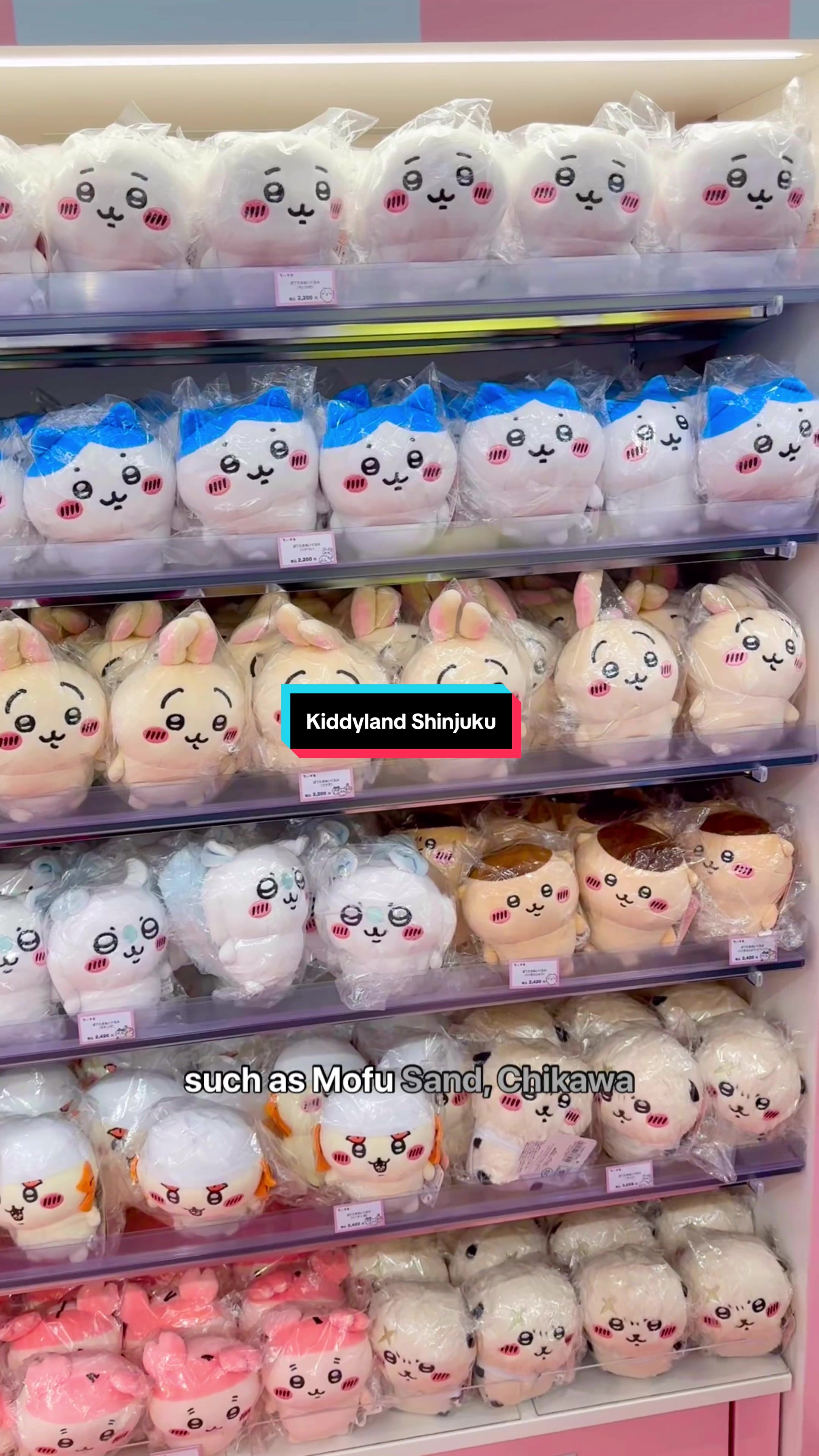 5 Shops in Tokyo