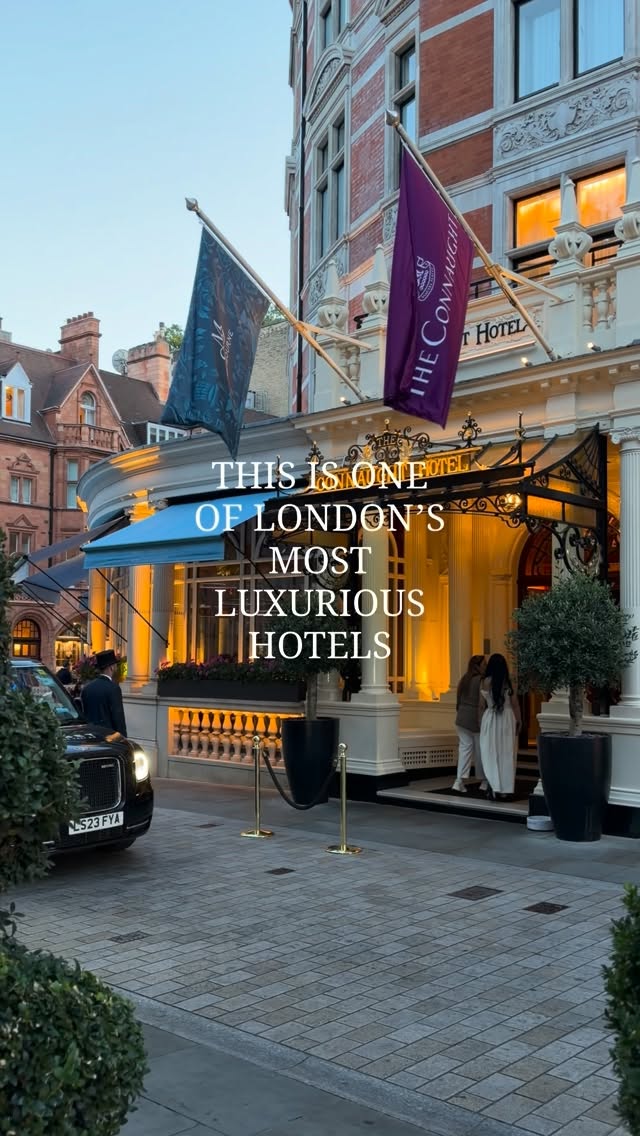 Luxury Mayfair Hotel's Dog-Friendly Amenities
