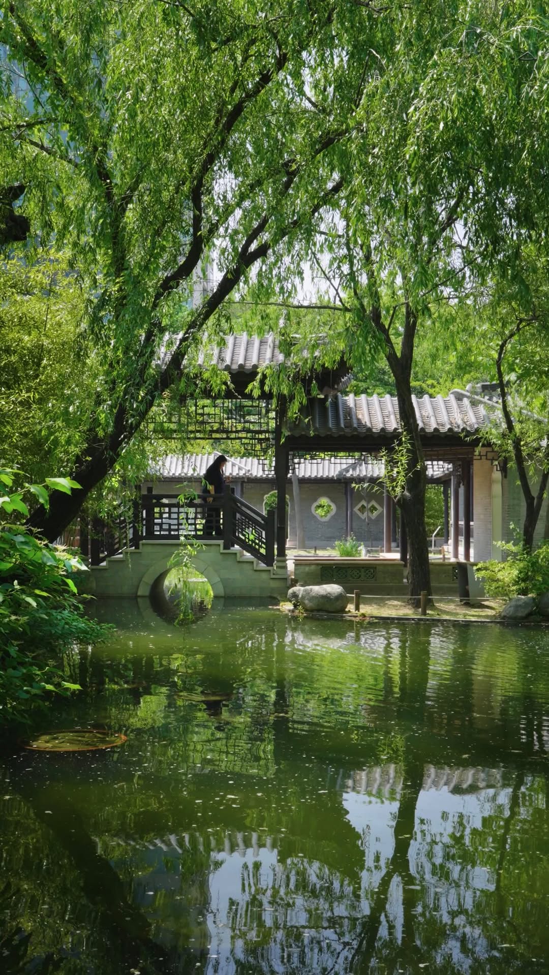Suwon's Chinese-Inspired Gardens Offer Tranquil Escapes