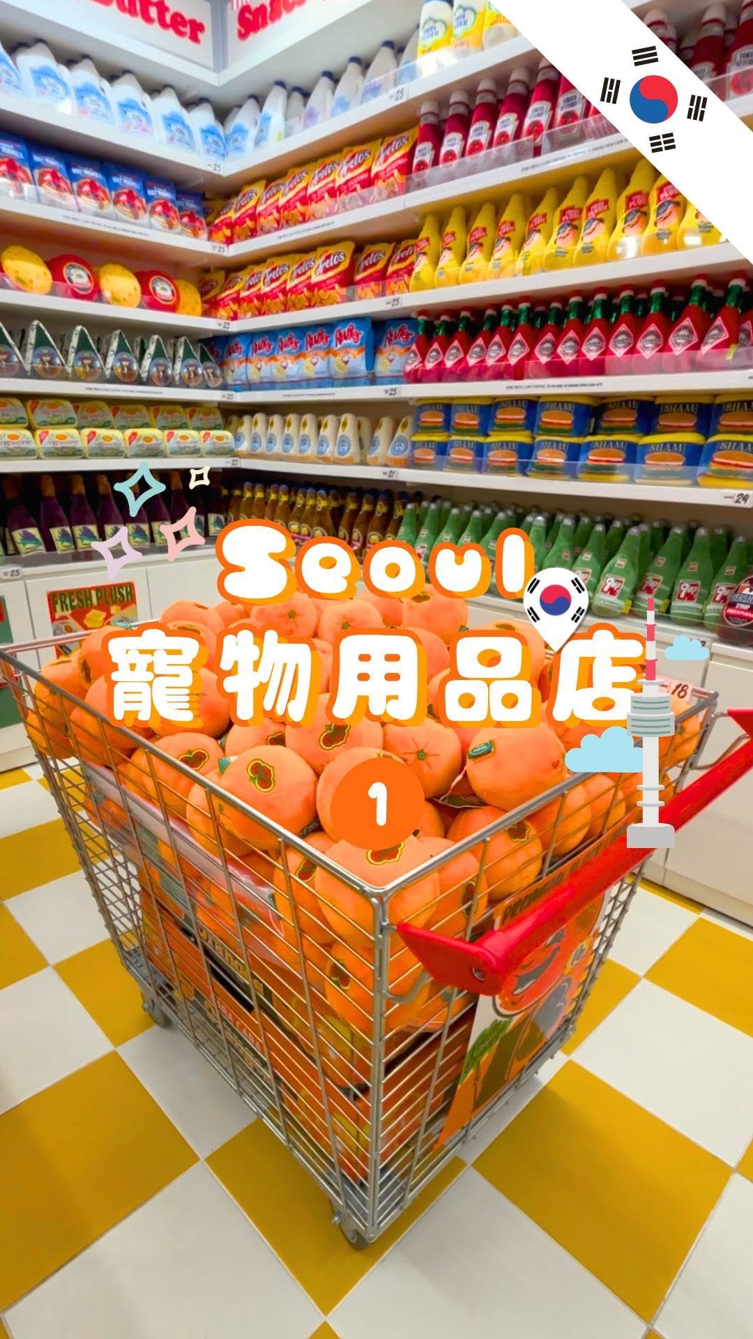 Hongdae Pet Stores Offer Variety and Convenience