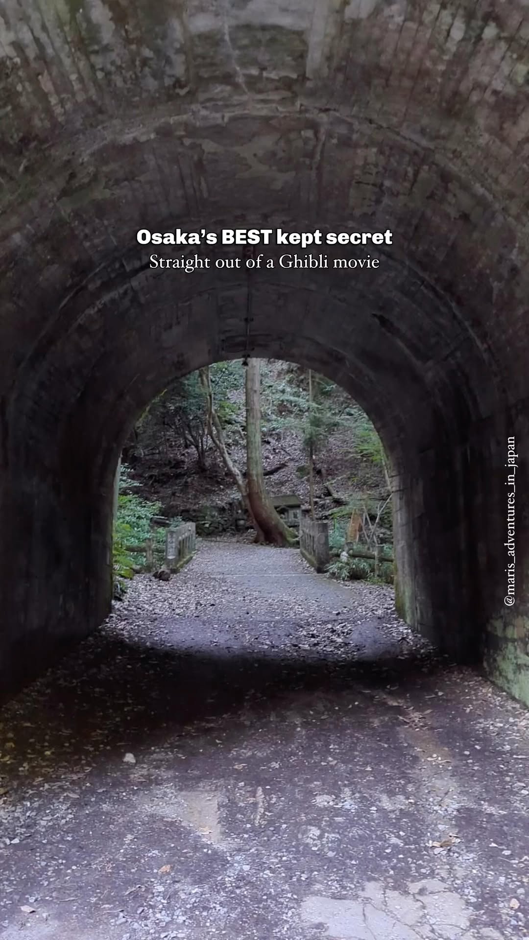 Minoo Park and Waterfall: Ghibli-esque Nature Escape