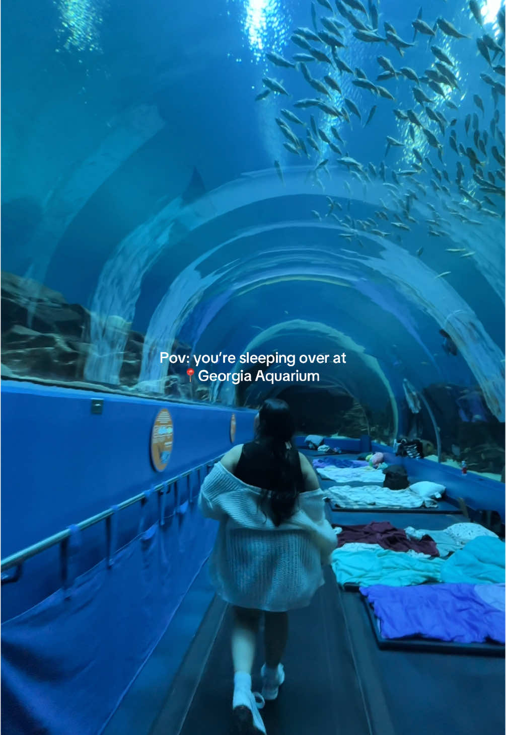Georgia Aquarium's Aquatic Wonders