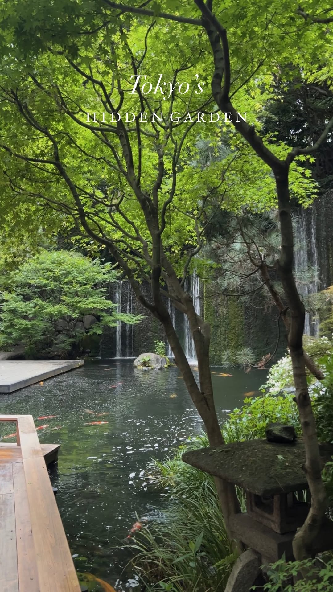 Hotel Gajoen Tokyo: Tokyo's Serene Urban Escape