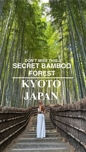 Kyoto's Bamboo Groves: A Peaceful Alternative