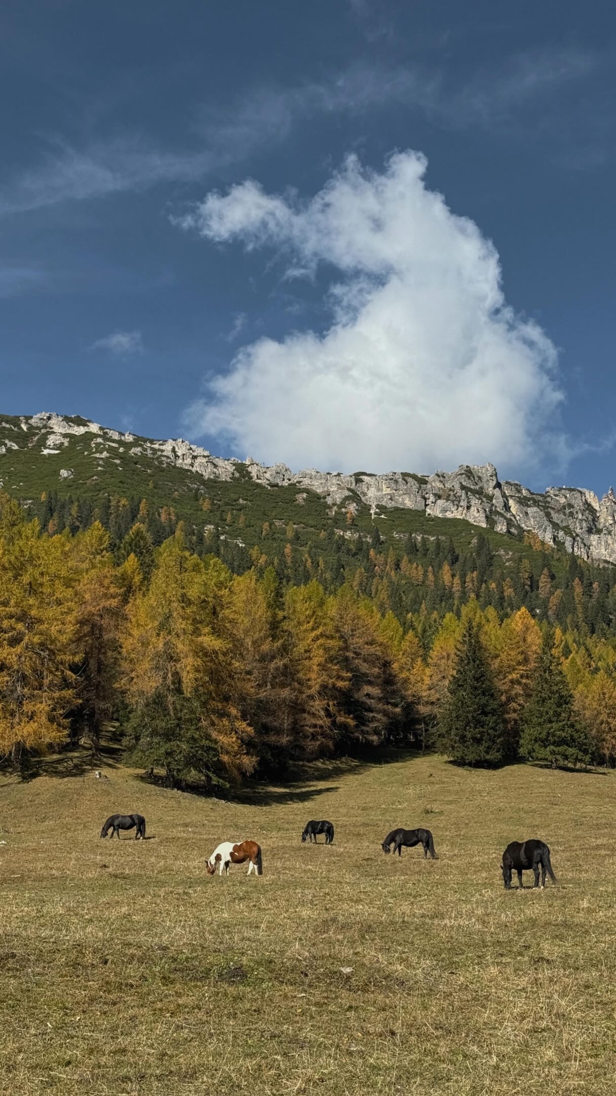 5 Places in Cortina d'Ampezzo