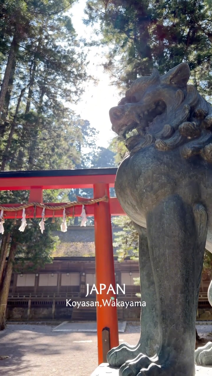 Koyasan: Japan's Mystical Temple Town