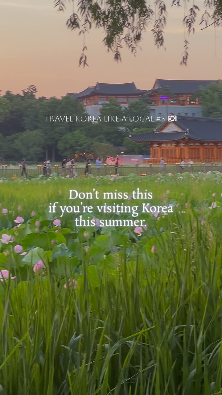 Jeonju's Hanok Village and Deokjin Park
