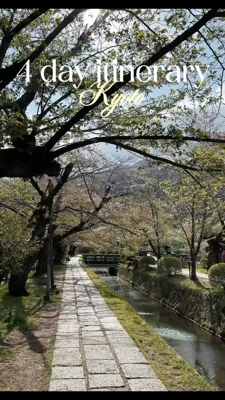 Kyoto's Top Attractions And Food Experiences
