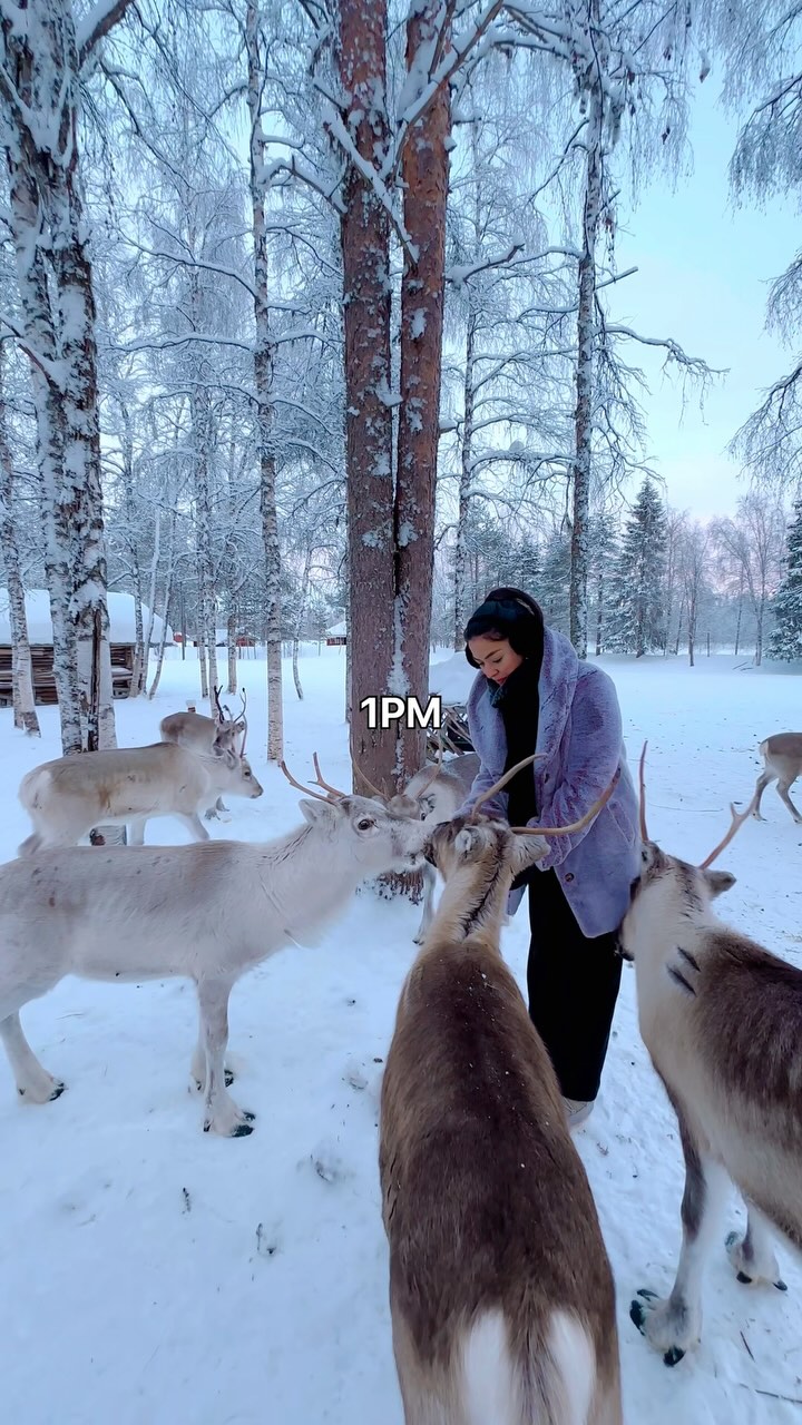 1 Places in Lapland