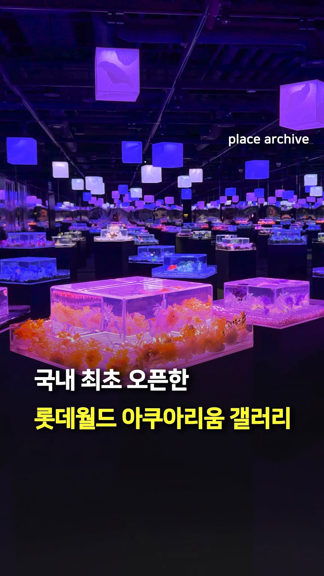 Lotte World Aquarium's New Korean-Inspired Aqua Gallery
