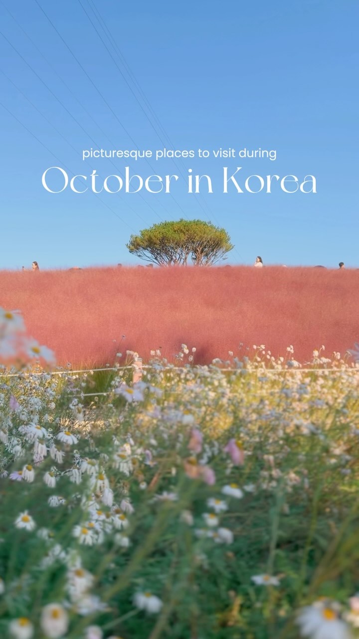6 Attractions in South Korea