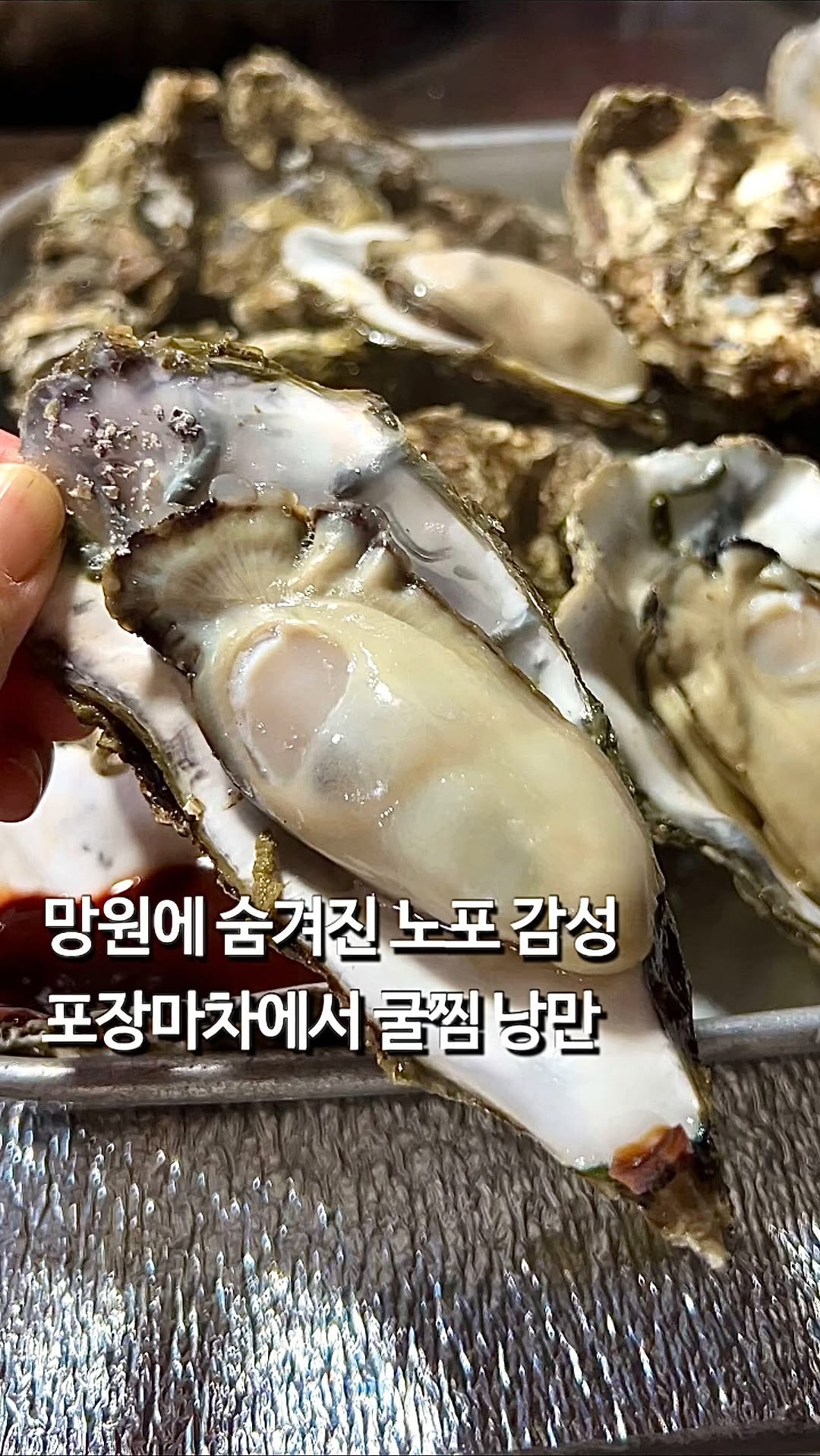 Seoul's Mangwon-dong: Oysters and Spicy Octopus