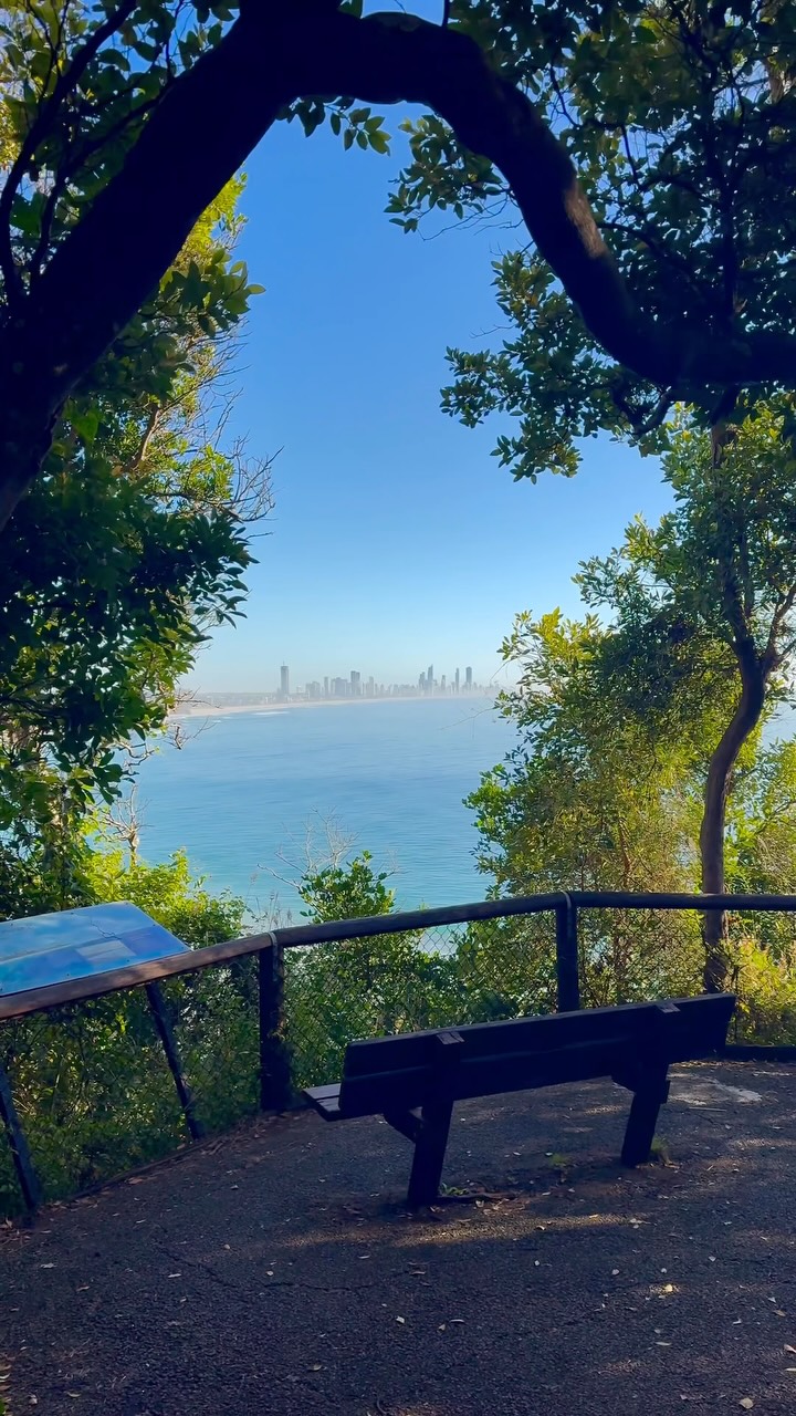 Gold Coast National Park And Creek Walks