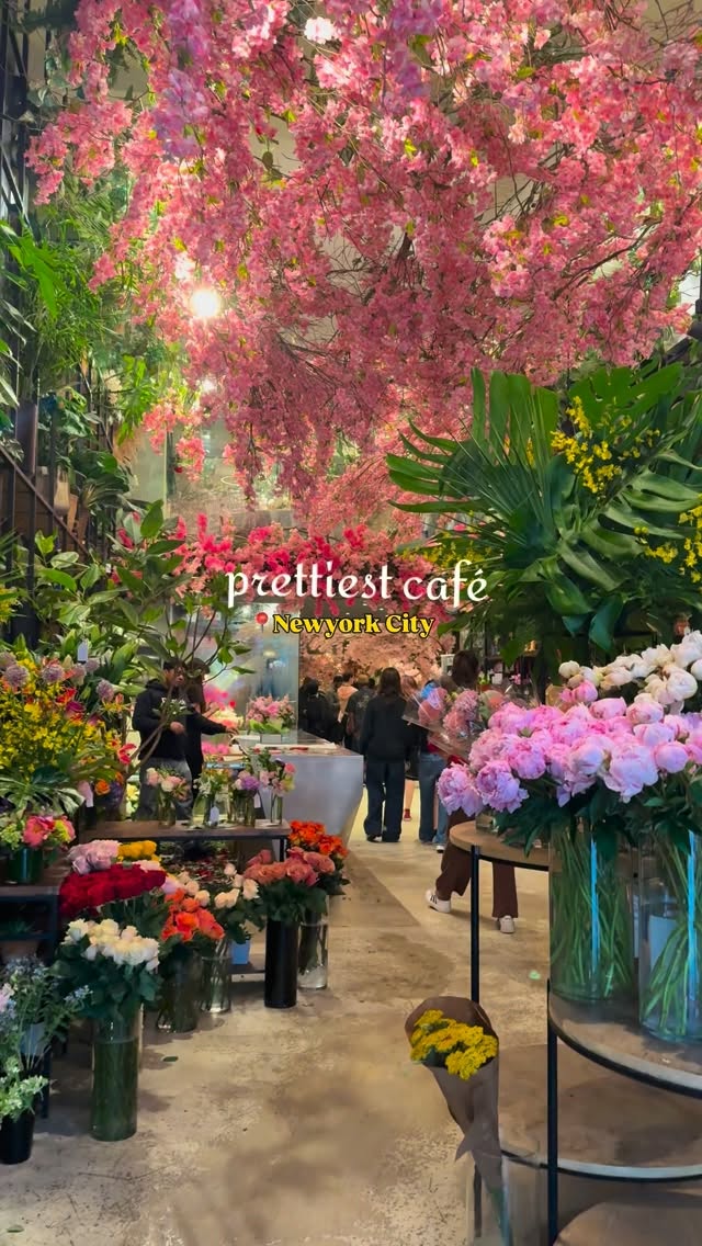 Ariston Flowers: A Must-Visit Floral Cafe