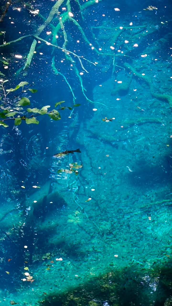 Japan's Natural Wonders: Shiragamisanchi, Jūniko, Aoike