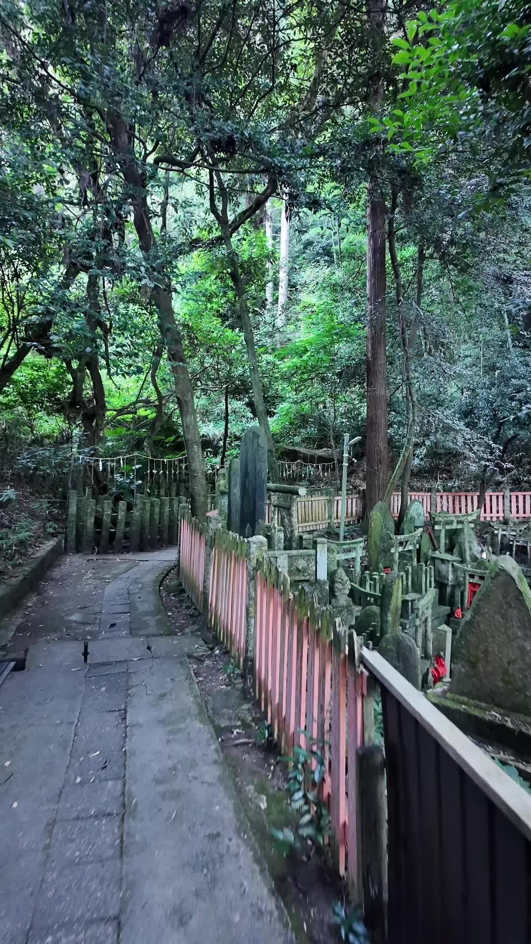 Serene Fushimi Inari Shrine Video
