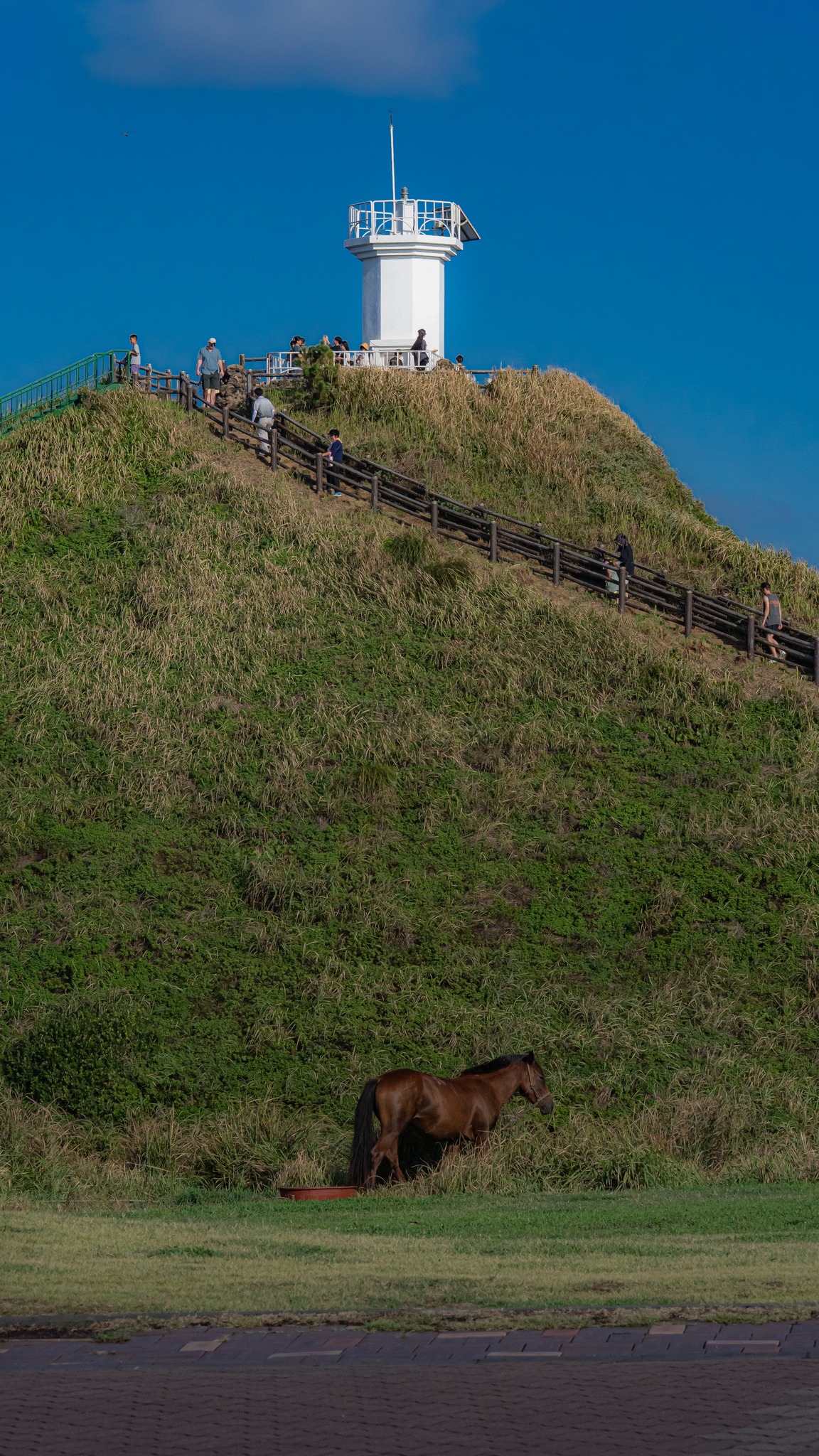 4 Attractions in Jeju-do