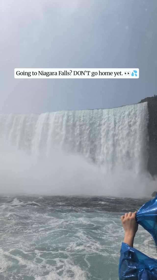 8 Attractions in New York