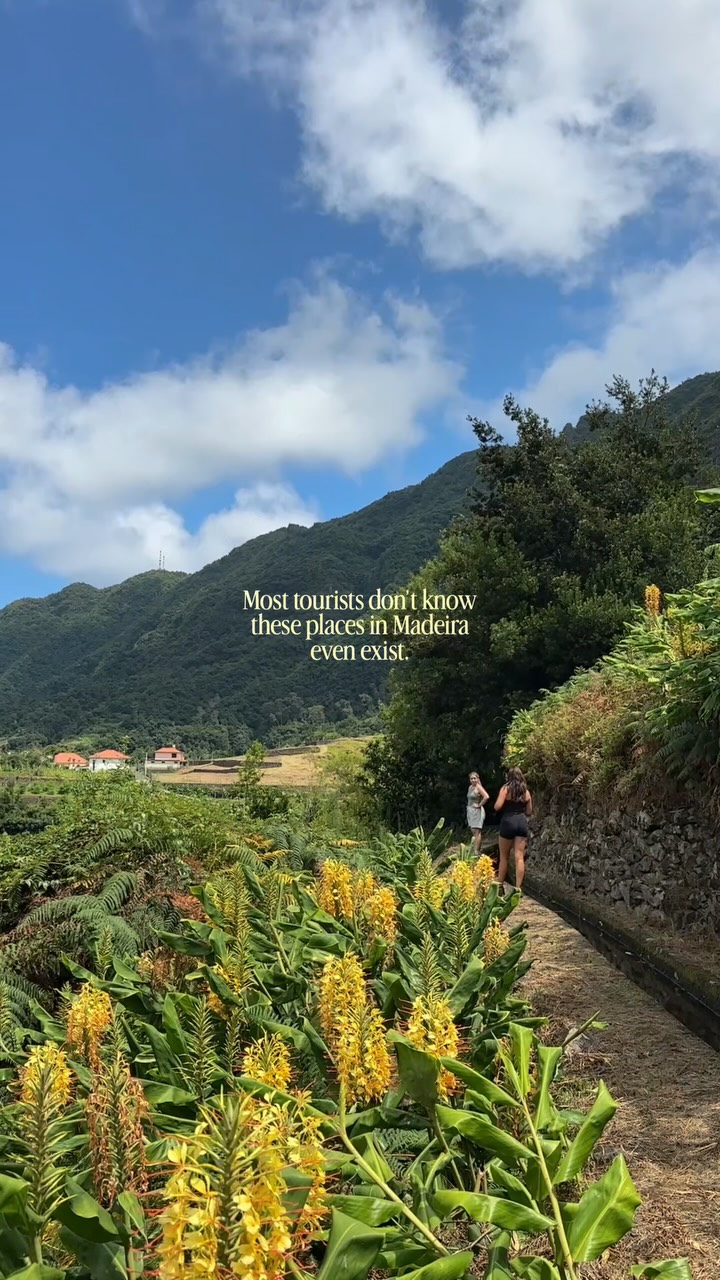 Madeira's Secret Trails and Coastal Gems
