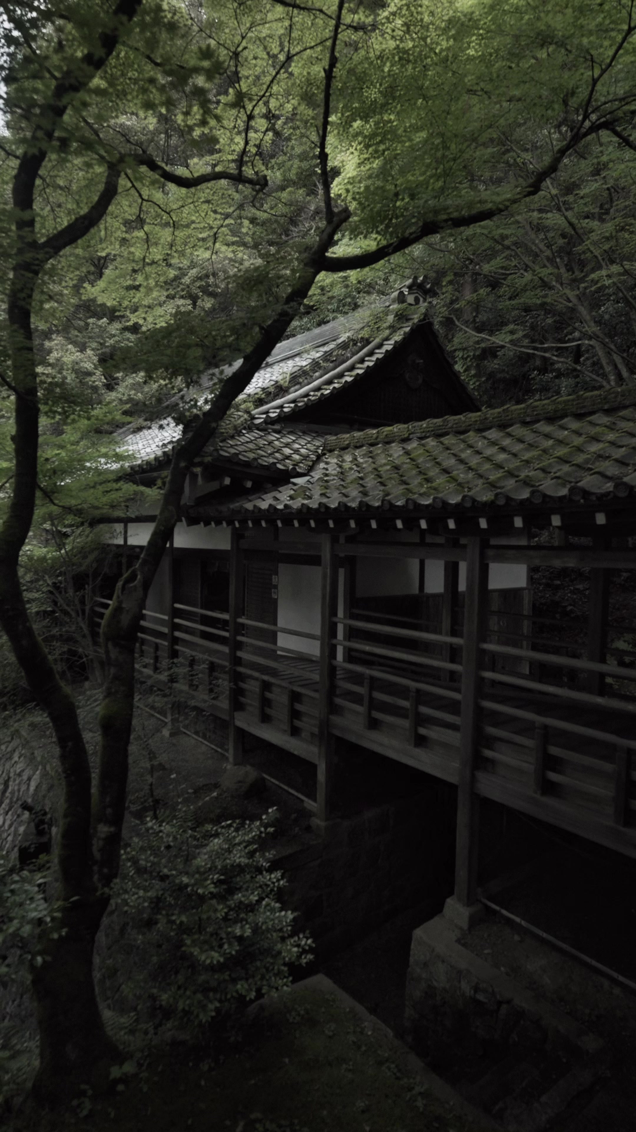 Kyoto's Eikan-do Temple Greenery Display