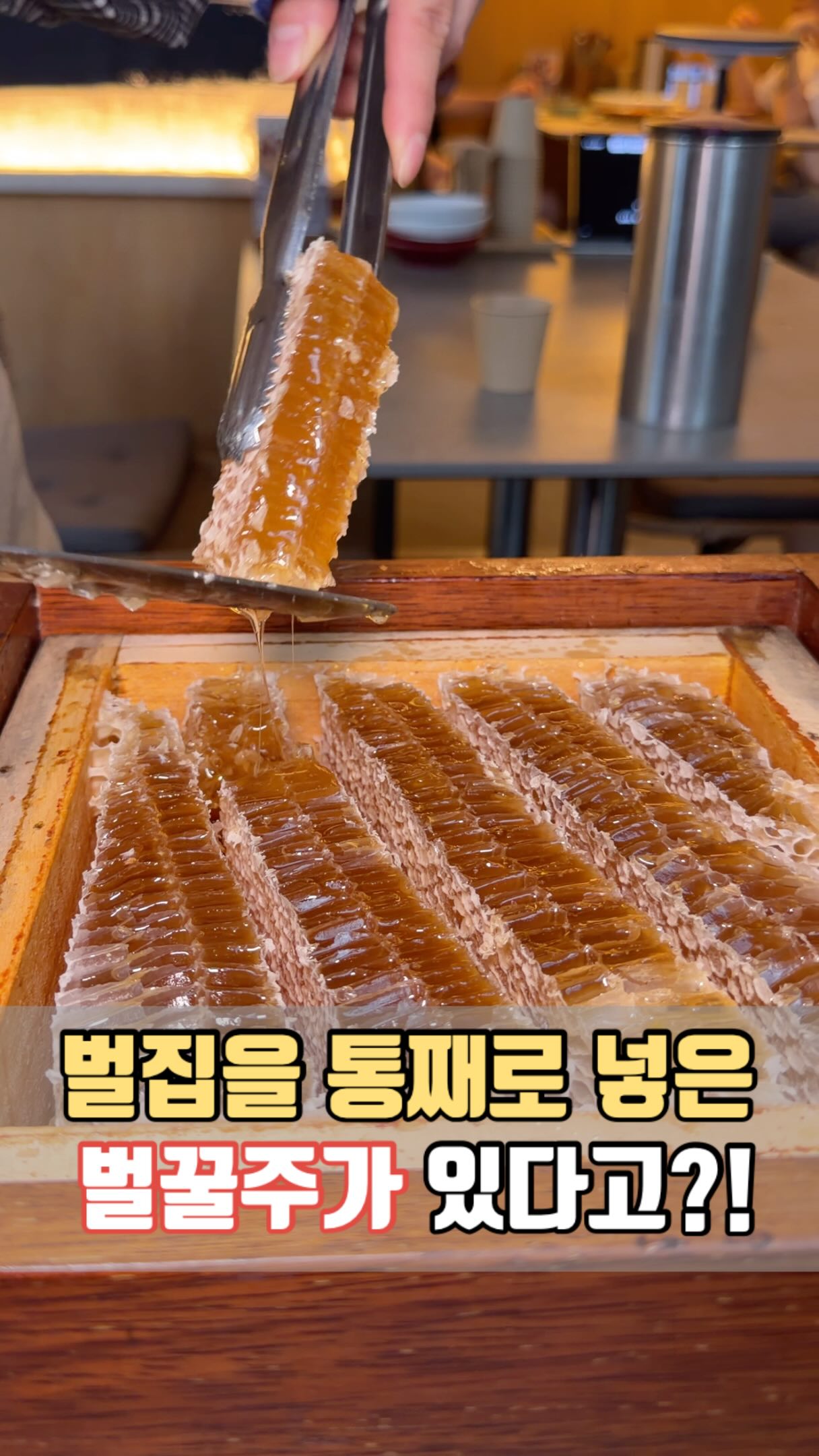 Garosu-gil Restaurant Offers Korean Food and Makgeolli