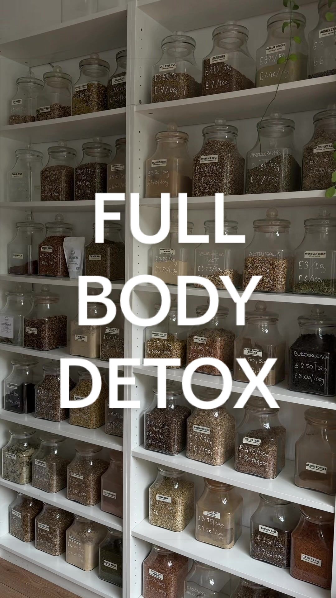 Herbal Remedies for Detox Journeys