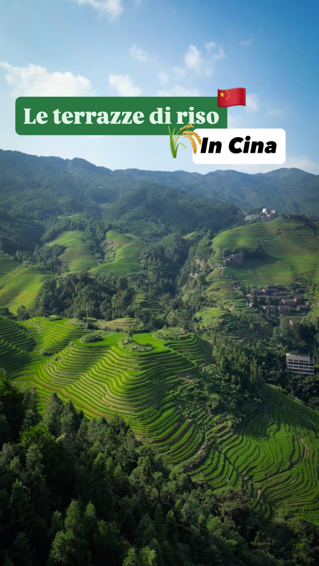 Longji Rice Terraces Scenic Views