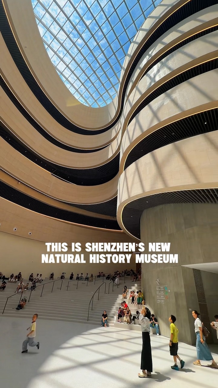 Shenzhen Natural History Museum For A Full Day