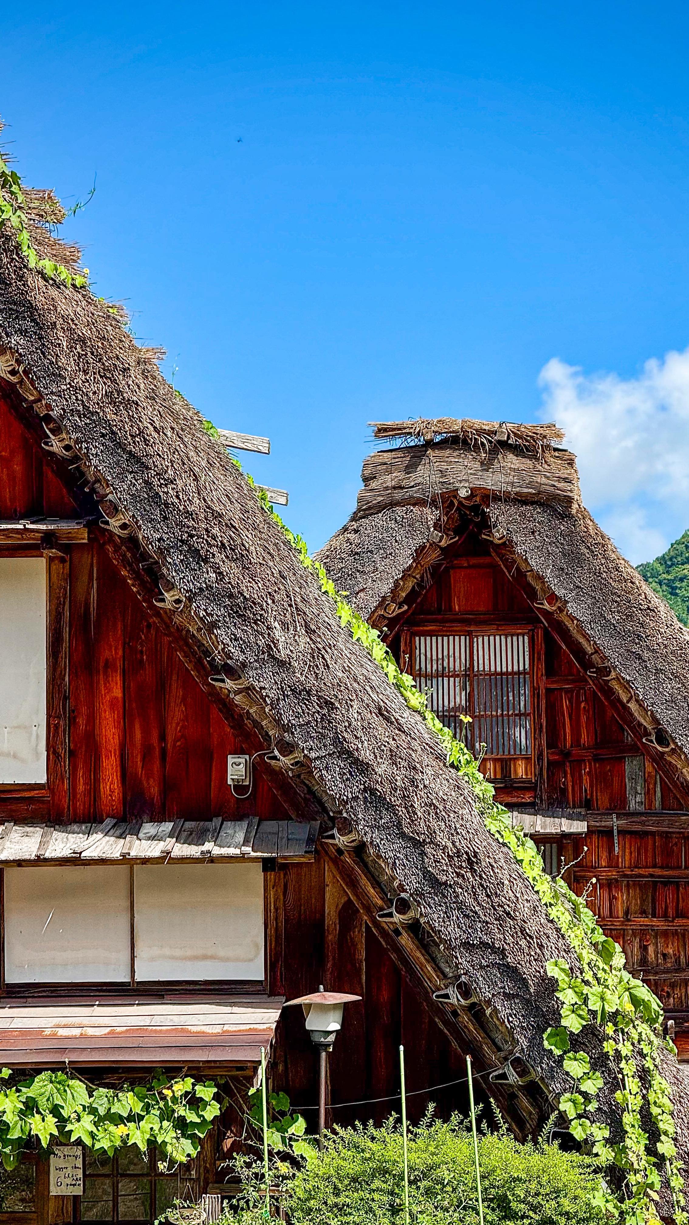 5 Places in Shirakawa