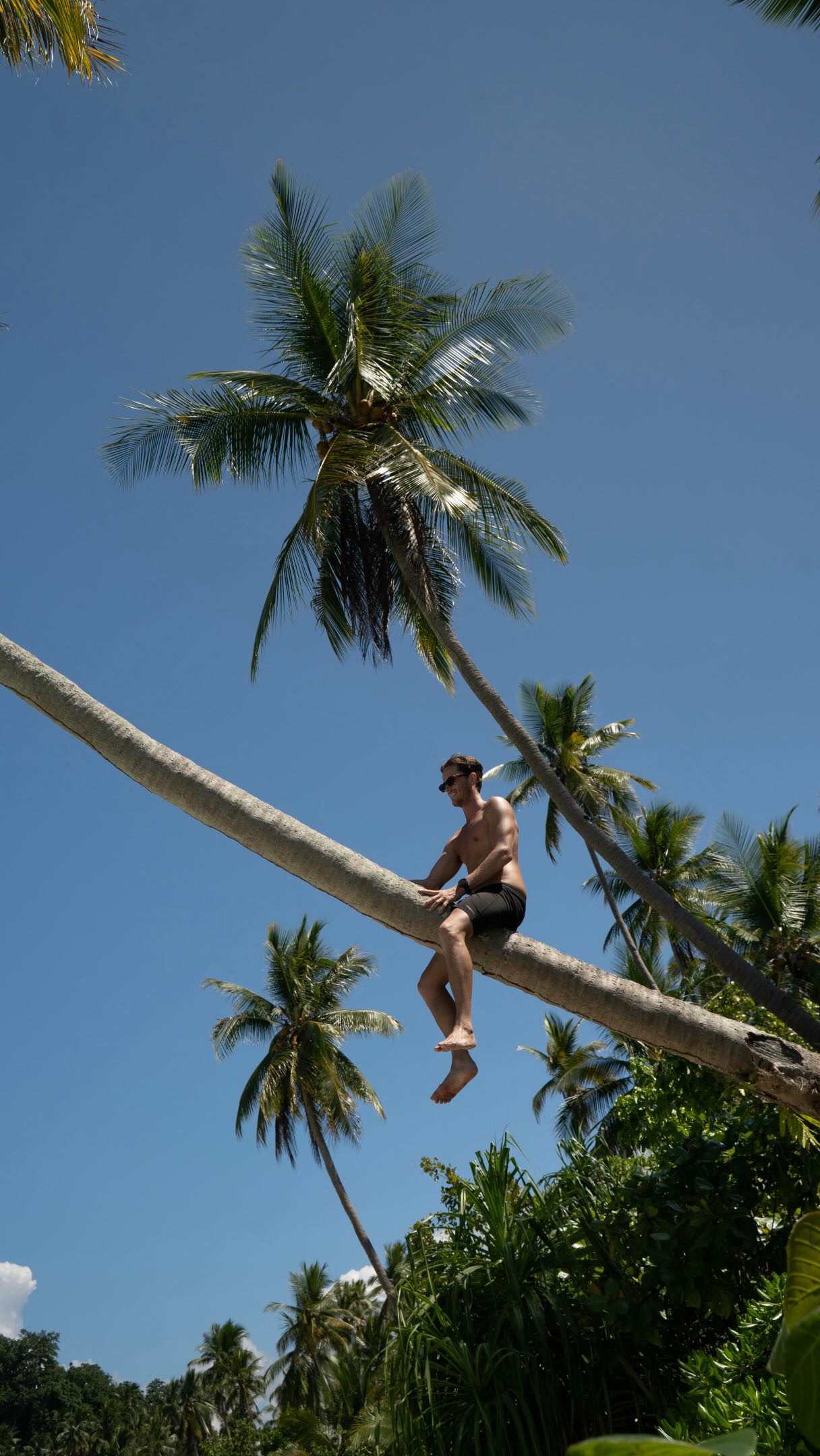 Sulawesi's Coastal Wonders and Island Charm