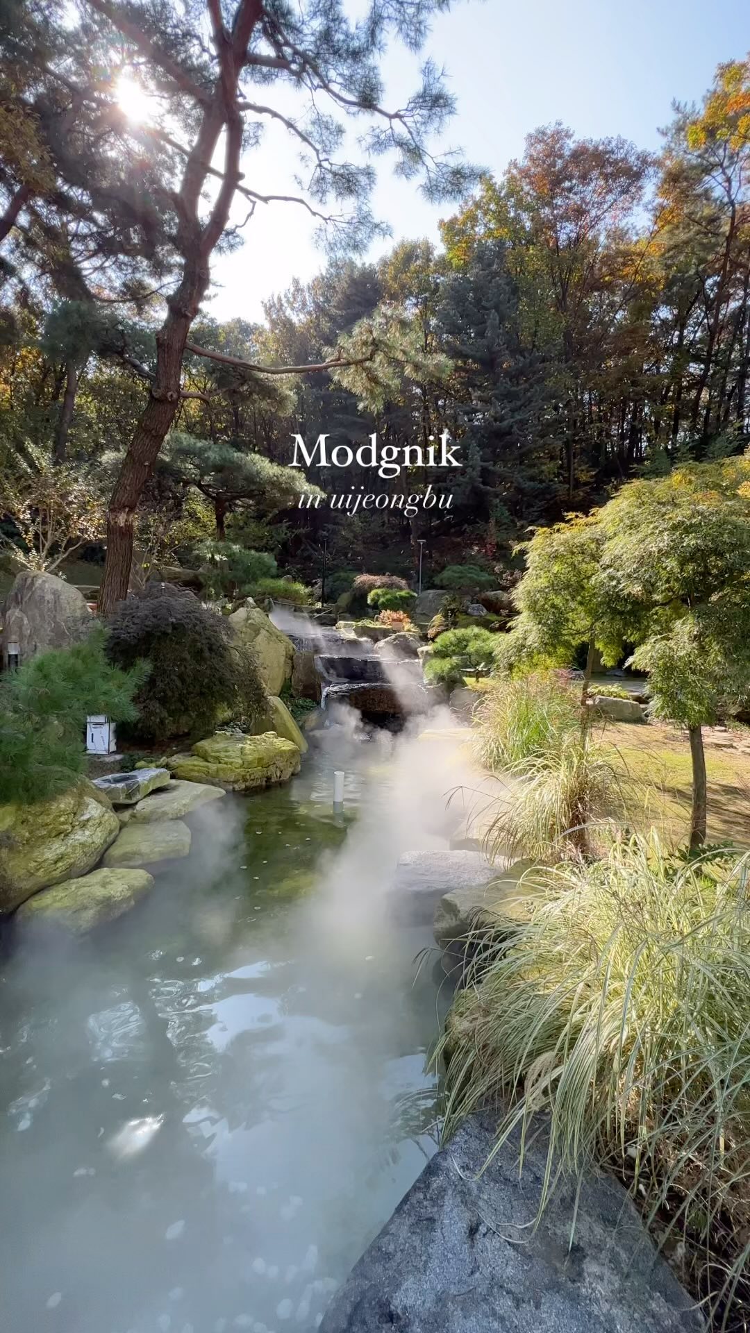 Modgnik Cafe: Secret Autumn Valley Near Suraksan