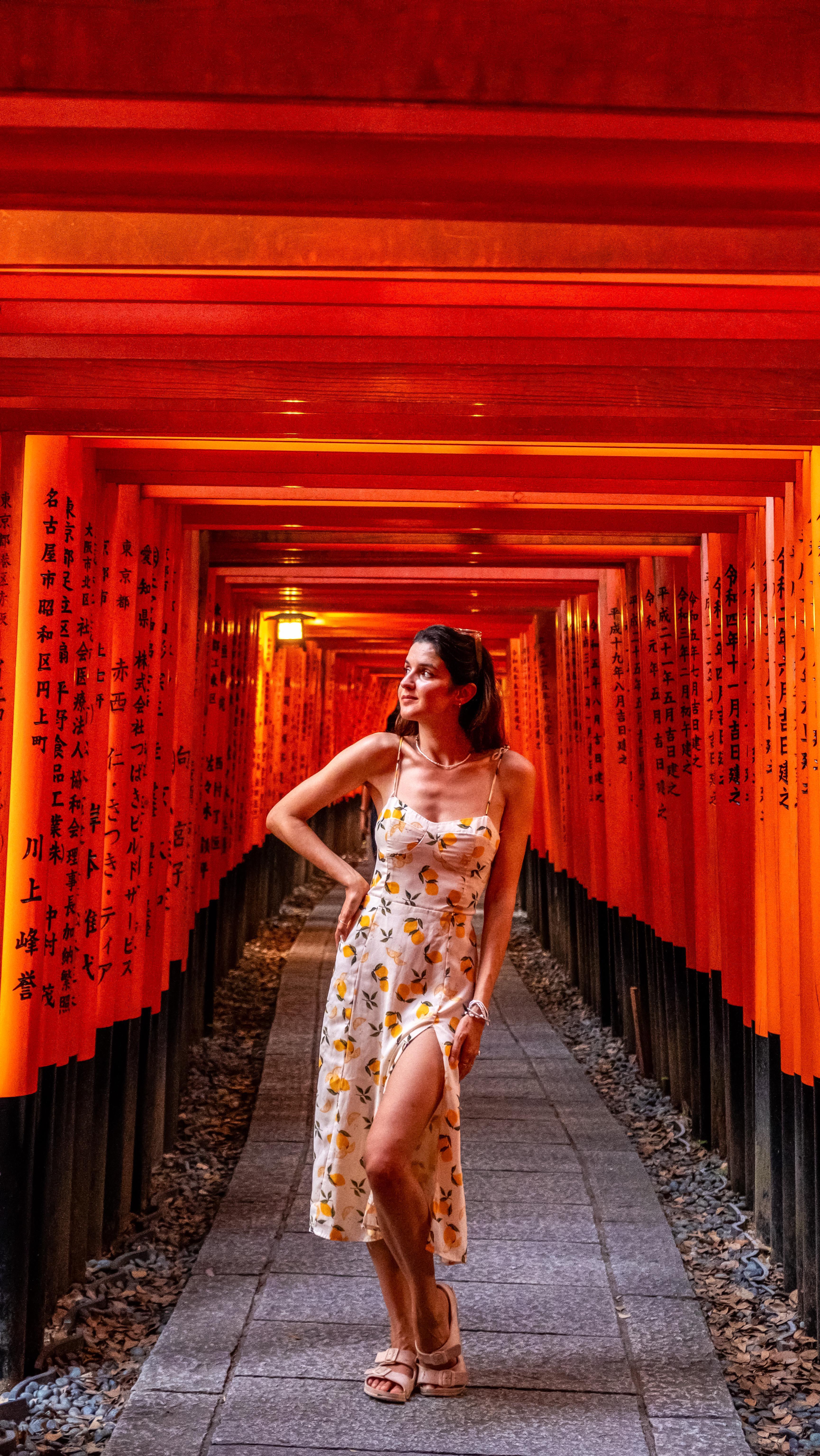 5 Attractions in Japan
