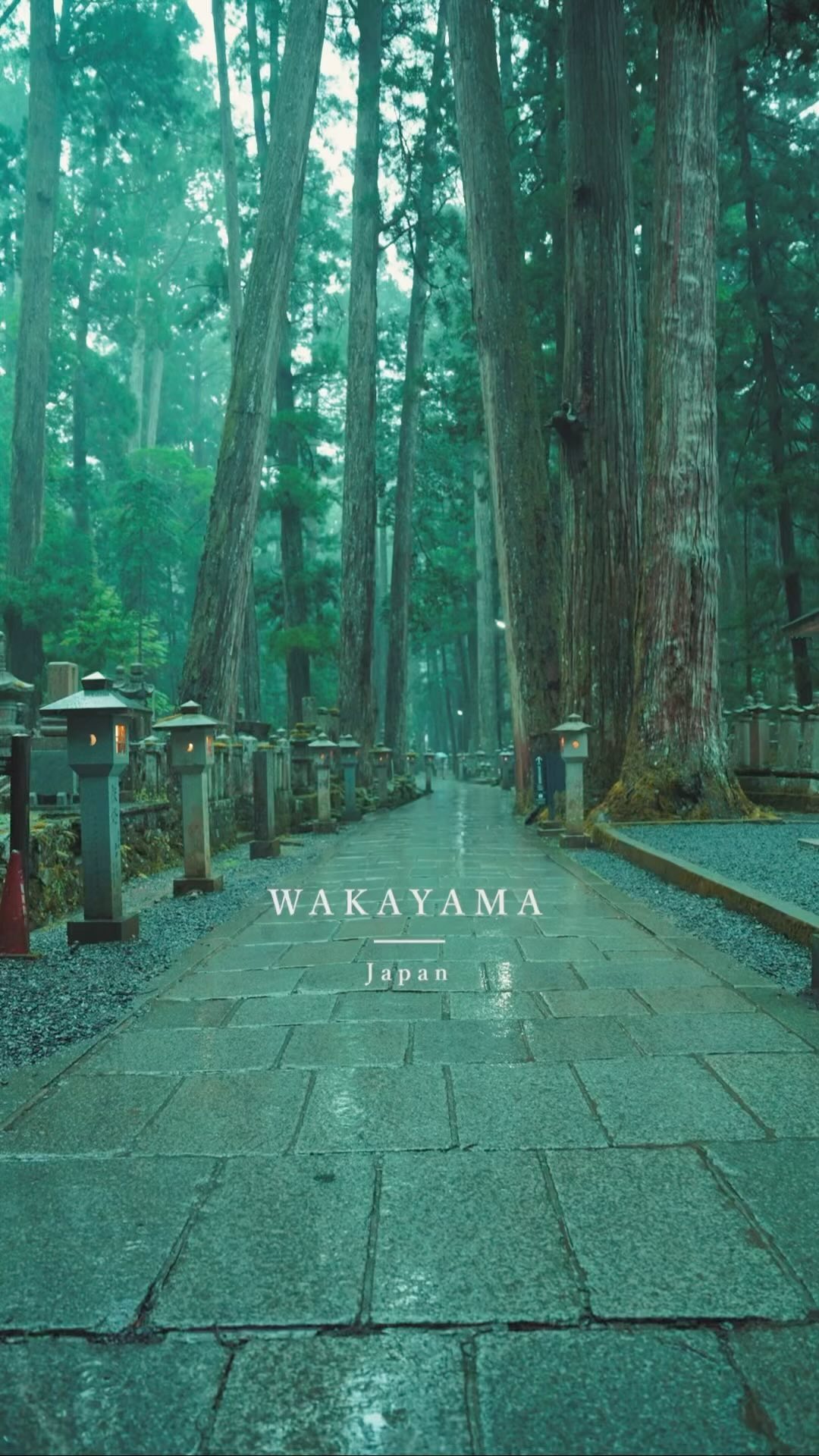 3 Places in Koya