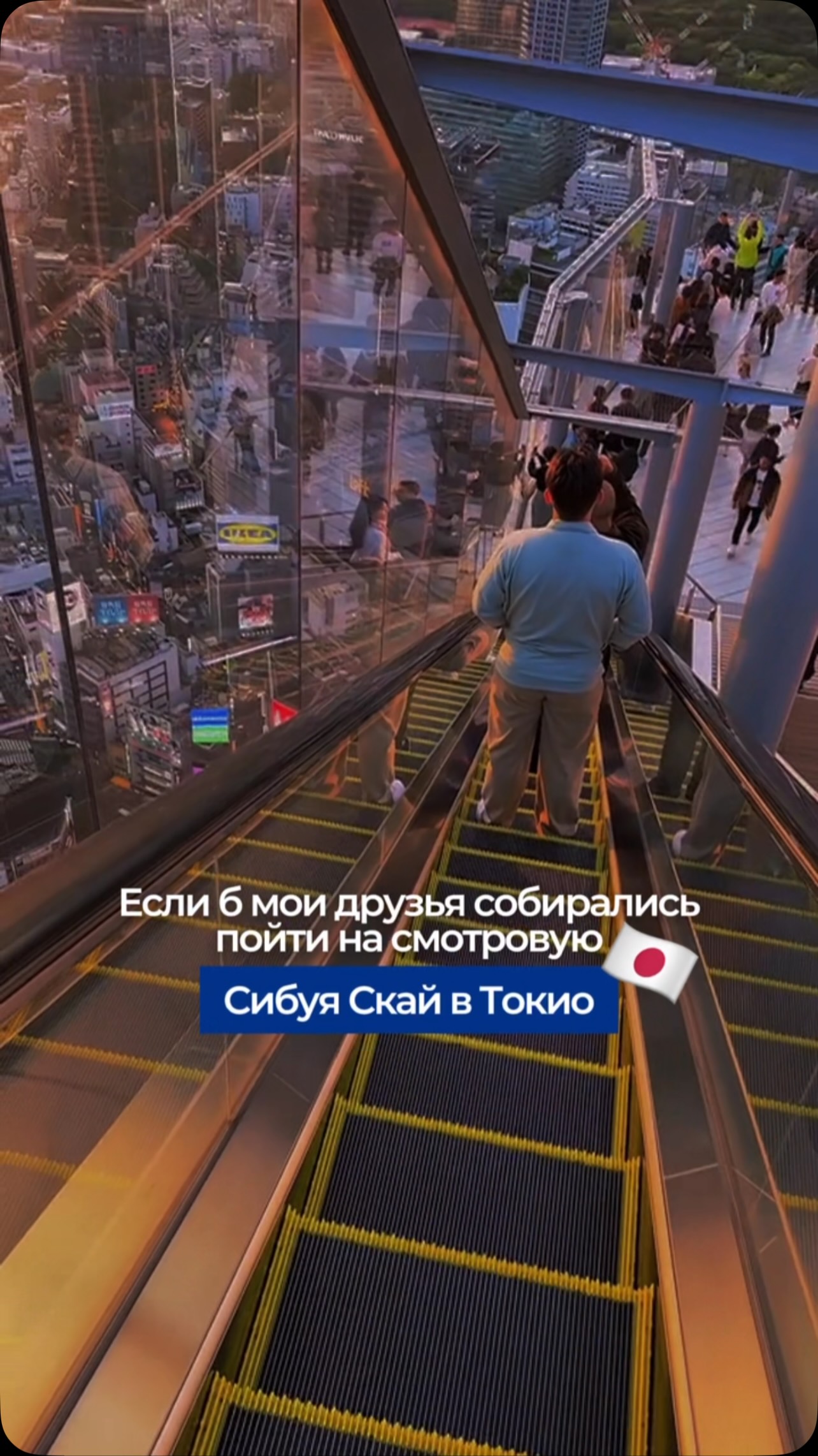 Shibuya Sky and Crossing: Tokyo Views