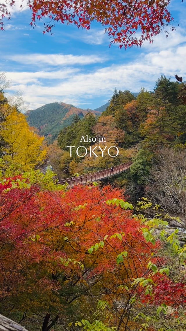 3 Attractions in Akiruno