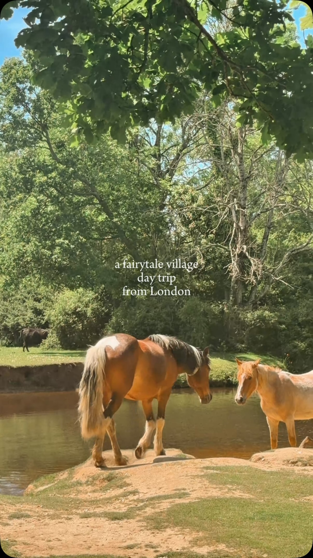 New Forest Villages Offer Magical Day Trips