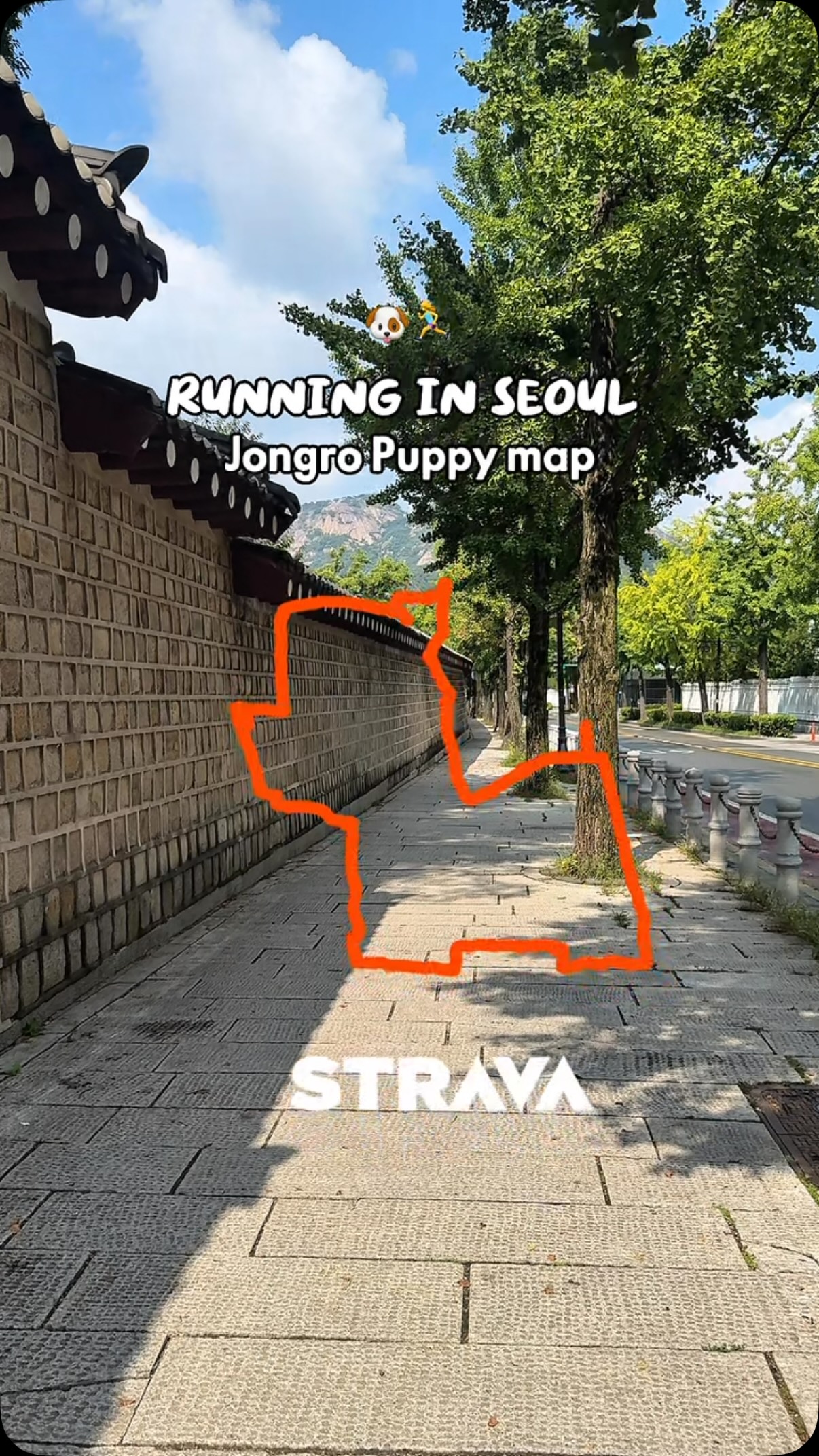 6 Shops in Seoul