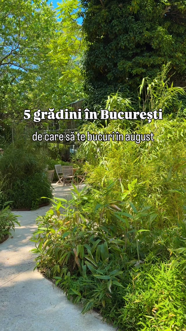 4 Restaurants in București