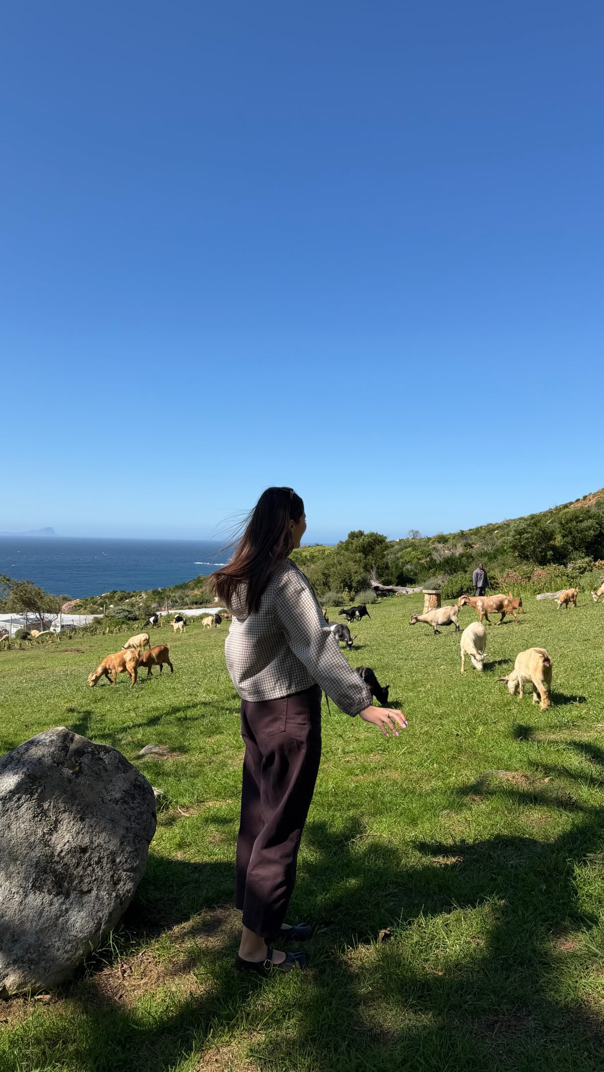 Cape Town Day Trip: Coastal Views and Wildlife Wonders