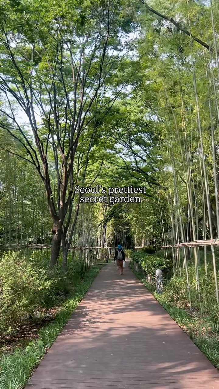 Seoul's Secret Garden for Relaxing Escapes