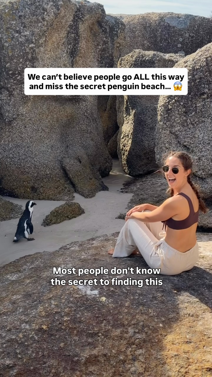 South African Parks Feature Penguin Beaches