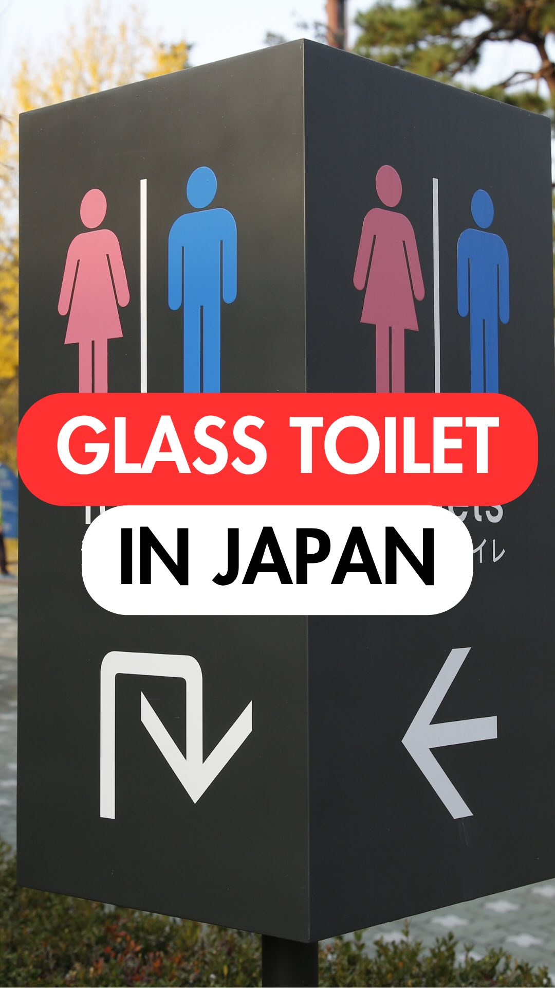 2 Parks in Tokyo