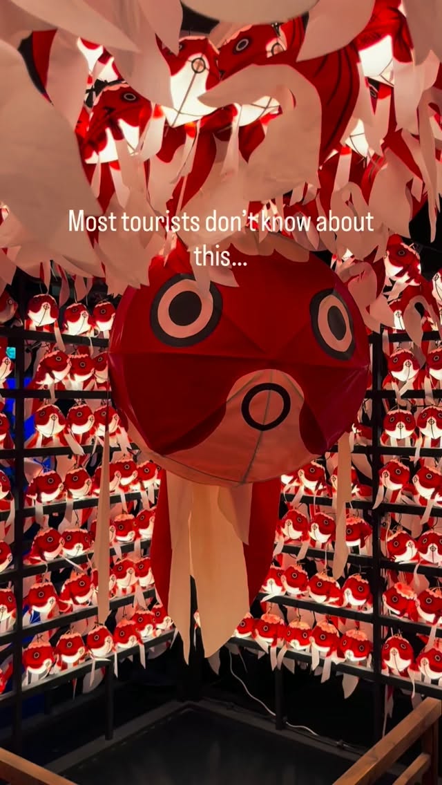 Nara's Goldfish Art and Osaka Exploration