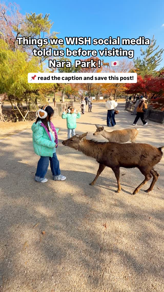 Explore Nara Park And Its Nearby Cultural Gems