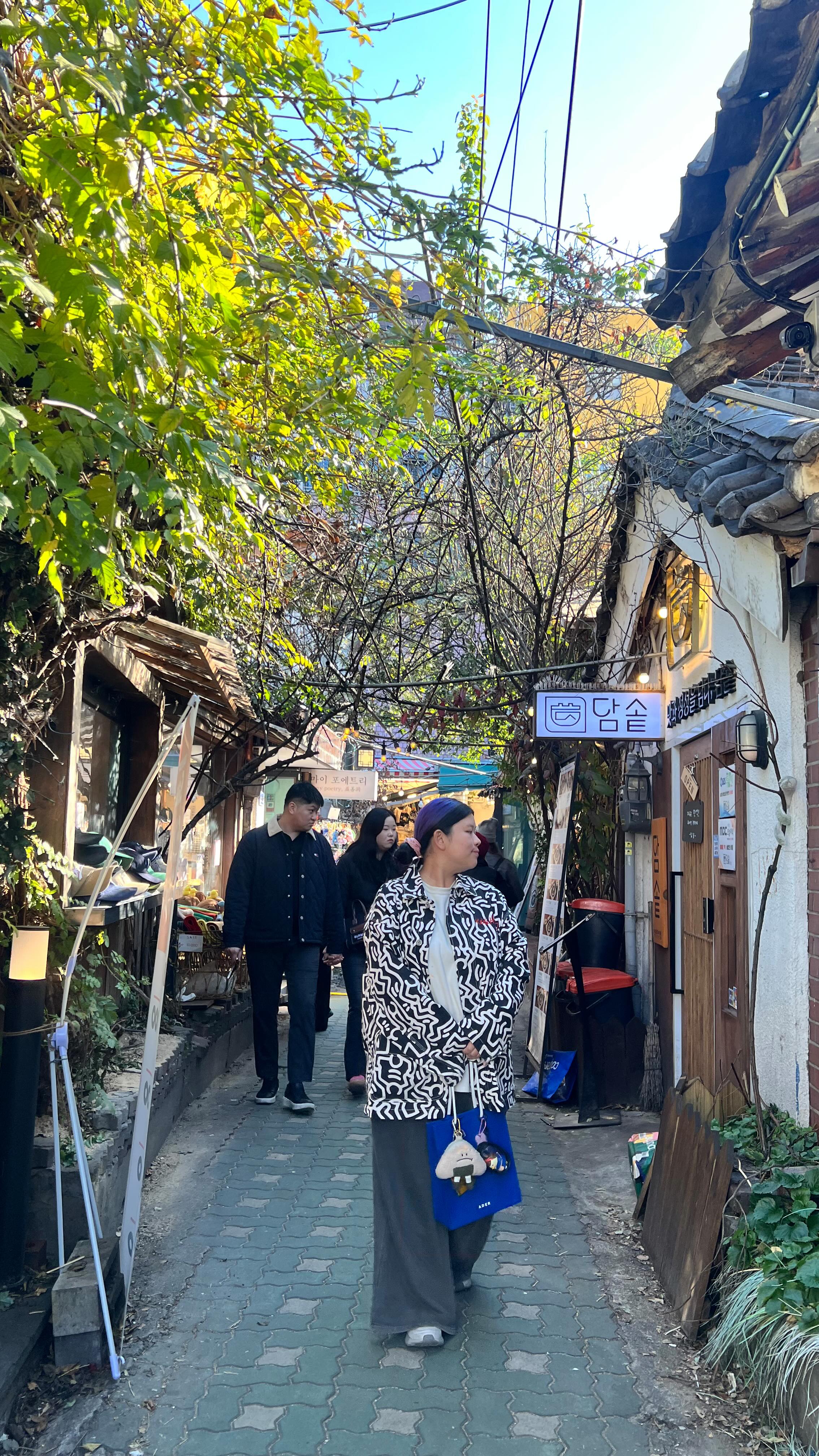 Seoul Hanok Airbnb Near Gyeongbokgung Palace
